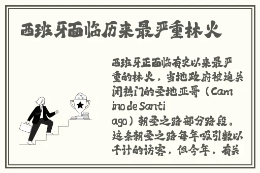 Y111111手机在线观看